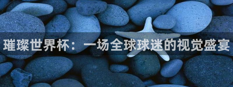 世界杯直播在线观看入口:璀璨世界杯:一场全球球迷的视觉盛宴