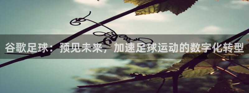 2026年世界杯:谷歌足球:预见未来,加速足球运动的数字化转型