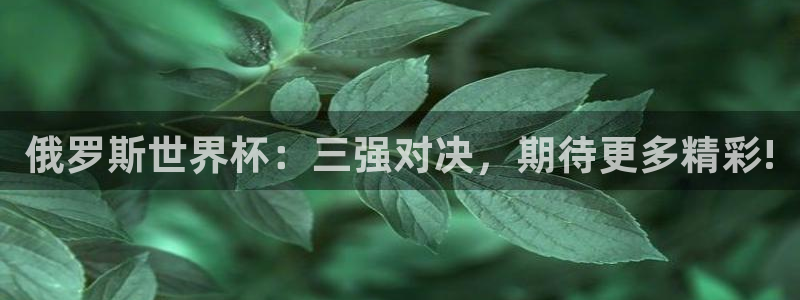 世界杯决赛预测:俄罗斯世界杯:三强对决,期待更多精彩!