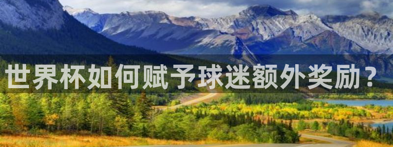 亚洲区世界杯预选赛:世界杯如何赋予球迷额外奖励?