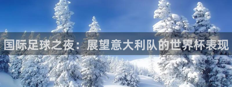 世界杯决赛圈球队:国际足球之夜:展望意大利队的世界杯表现