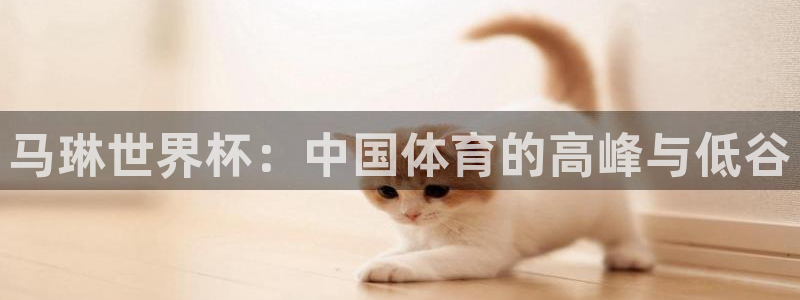 法国杯2026赛程表:马琳世界杯:中国体育的高峰与低谷