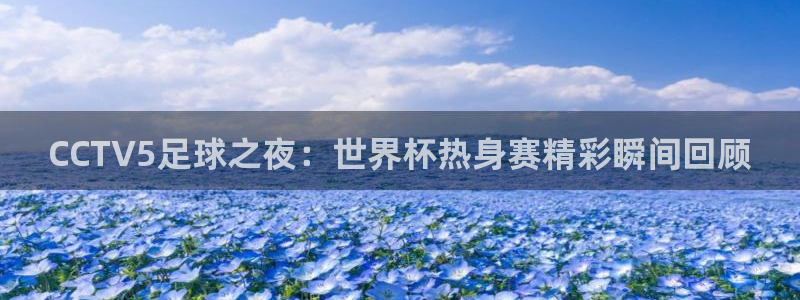 世界杯亚洲区预选赛赛程表:CCTV5足球之夜:世界杯热身赛精彩瞬间回顾