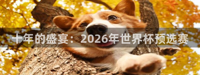 美国世界杯:十年的盛宴:2026年世界杯预选赛